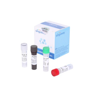 การตรวจจับชุดทดสอบ PCR โควิด 19 PCR แบบเรียลไทม์อย่างรวดเร็วภายใน 30 นาที