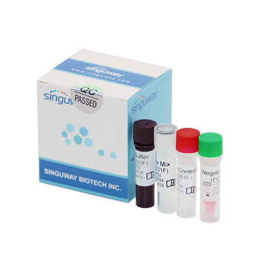 ชุดตรวจจับ PCR แบบเรียลไทม์ของ โควิด-19 ความแม่นยำสูง เรืองแสง โพรบ 50 Copies/Ml