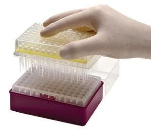เคล็ดลับการปิเปต PCR วัสดุสิ้นเปลืองสำหรับห้องปฏิบัติการ เคล็ดลับ Micropipette แบบใช้แล้วทิ้ง 10-1250μL