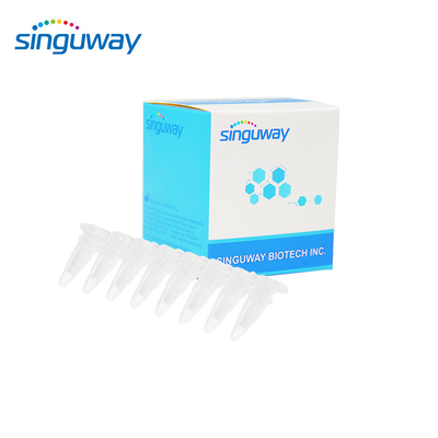 15 ประเภท HPV Real Time PCR Kit 40uL Qualitative HPV PCR Kit สำหรับมนุษย์